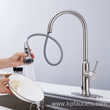 Brush Nickel Chrome Flexible Kitchen Faucet